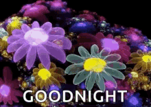 girly good night flowers sparkling color changing