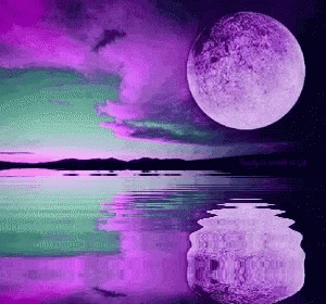 Purple GIF - Purple - Discover & Share GIFs