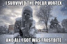Polar Vortex Frost Bite GIF - Polar Vortex Frost Bite Meme GIFs