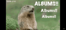 Albums Rat GIF - Albums Album Rat GIFs