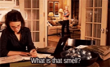 Tina Fey Amy Poehler GIF - Tina Fey Amy Poehler What Is That Smell GIFs