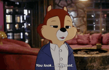 Chip And Dale Rescue Rangers You Look Different GIF - Chip And Dale Rescue Rangers You Look Different Different GIFs