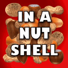 In A Nut Shell Brief GIF - In A Nut Shell Brief Briefly GIFs
