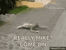 Really Mike Come On Sloth GIF - Really Mike Come On Sloth Slow GIFs
