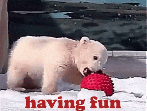 Having Fun Polar Bear GIF.
