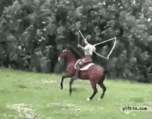 Horse Funny GIF - Horse Funny Talent GIFs