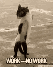 Dont Work No Work GIF - Dont Work No Work Do Not Feel Like Working GIFs