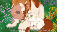 warrior cats dont worry im not going anywhere cats crying