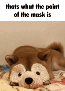 Dream Dog GIF - Dream Dog Mask Dream GIFs