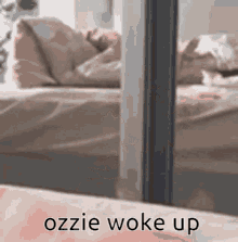 woke ozzie