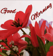 Guten Morgen GIF - Guten Morgen Flowers GIFs