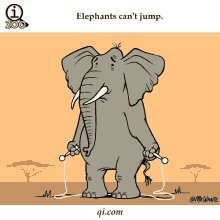 Elephants Cant Jump Jump Rope GIF - Elephants Cant Jump Jump Rope GIFs