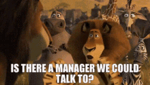 Madagascar Alex The Lion GIF - Madagascar Alex The Lion Is There A Manager We Could Talk To GIFs
