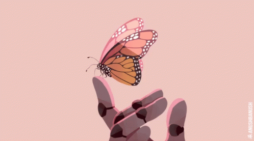 han jin sol Zenyatta-butterfly