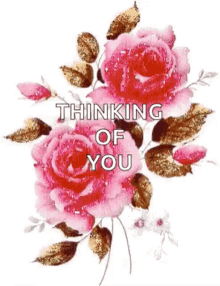 Thinking Of You Roses GIF - Thinking Of You Thinking Roses GIFs