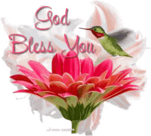 God Bless You Flower GIF - God Bless You Flower Humming Bird GIFs