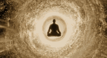 zen light joga concentrate zen light joga concentrate