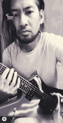 pantera metal