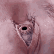 глаз паук GIF - глаз паук GIFs