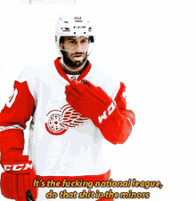 Detroit Red Wings Its The Fucking National League GIF - Detroit Red Wings Its The Fucking National League Do That Shit In The Minors GIFs