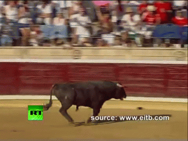 Raging Bull GIF - Bull Rage Charge - Discover & Share GIFs