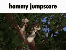 hammy over the hedge jumpscare meme squirrel