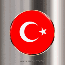 Bayrak Atatürk GIF - Bayrak Atatürk Türk Bayrağı GIFs