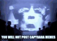 Literally1984 Capybara GIF - Literally1984 Capybara Capy GIFs