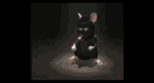 rata bailando moves rat