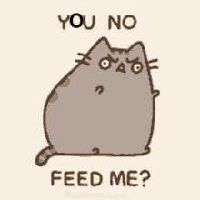 Feed Me Crazy Cat GIF - Feed Me Crazy Cat Angry GIFs