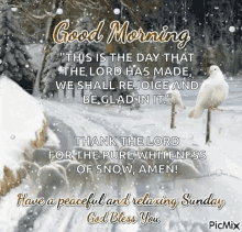 morning snow
