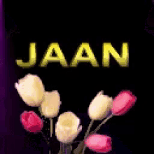 Jaan Flowers GIF - Jaan Flowers Tulips GIFs