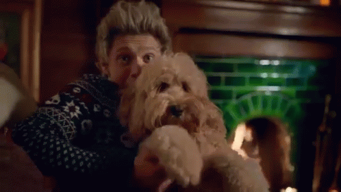 niall horan night changes