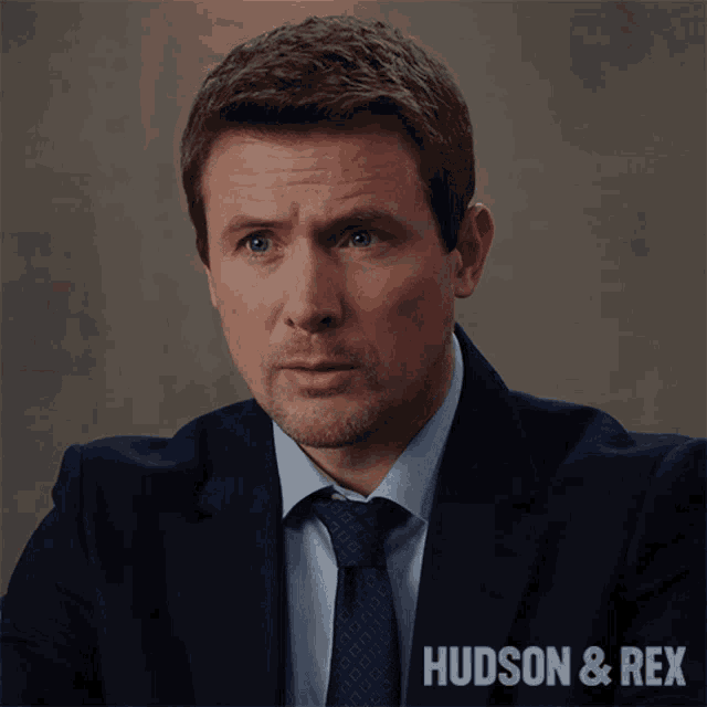 Doubtful Charlie Hudson GIF Doubtful Charlie Hudson Hudson And Rex