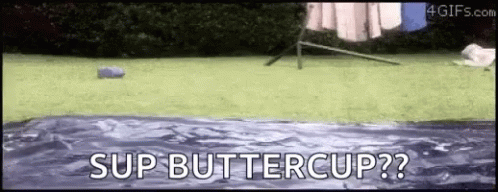 Whats Up Buttercup GIF - Whats Up Buttercup Slide GIFs