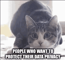 xsl labs syl data privacy xsl