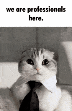 tenor.gif