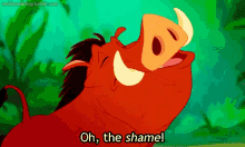 Oh, The Shame GIF - Negative Shame Lion King GIFs