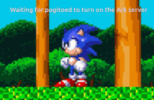 Sonic Pogitoed GIF - Sonic Pogitoed Ark GIFs