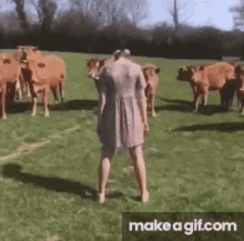 Mo Scatter GIF - Mo Scatter Moo GIFs