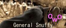 Snuffy General Snuffy GIF - Snuffy General Snuffy GIFs