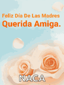 amiga querida