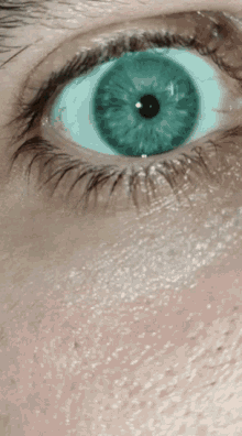 Blue Eye GIF - Blue Eye Blink GIFs