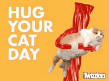Cats Twizzlers GIF - Cats Twizzlers Hug GIFs
