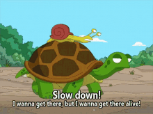 Family Guy Turtle GIF - Turtle Slowdown Alive GIFs