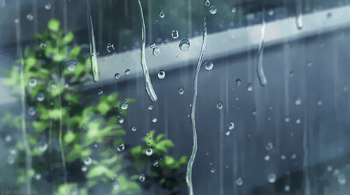 Kotonoha No Niwa Rain GIF - Kotonoha No Niwa Rain Rain Drops - Discover &  Share GIFs
