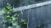 Kotonoha No Niwa Rain GIF - Kotonoha No Niwa Rain Rain Drops GIFs