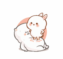 rabbit bunny