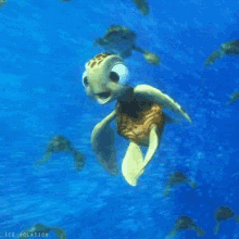 Squirt Swimming GIF - Squirt Swimming Nemo GIFs