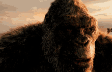 Godzilla Vs Kong Smiling GIF - Godzilla Vs Kong Kong Smiling GIFs
